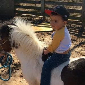 Meet your Posher, Juan antonio